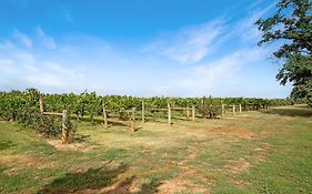 Milawa Vineyard Views - Guesthouse 2