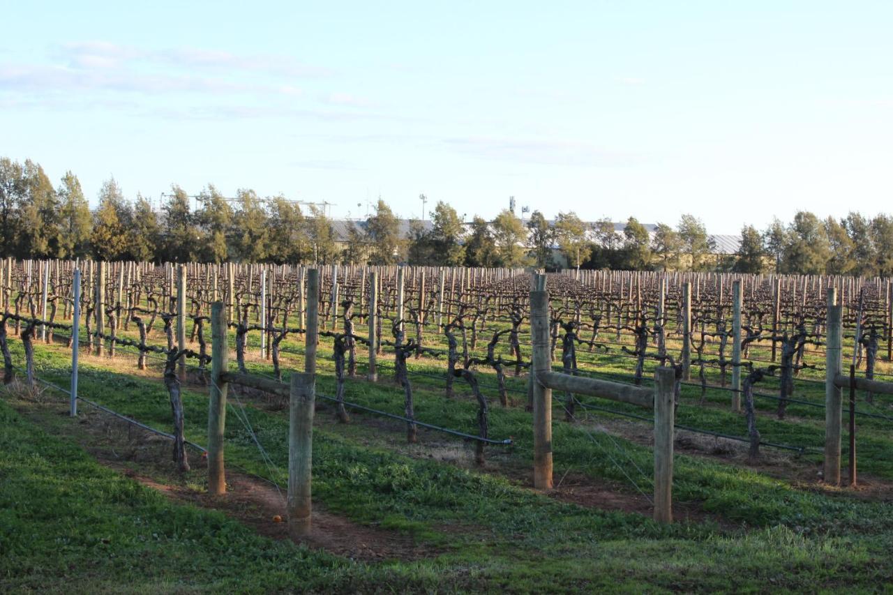 Milawa Vineyard Views - Guesthouse 2 Exterior photo